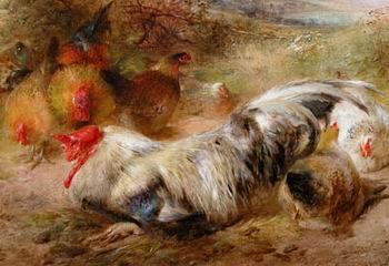 unknow artist Poultry 115 oil painting image